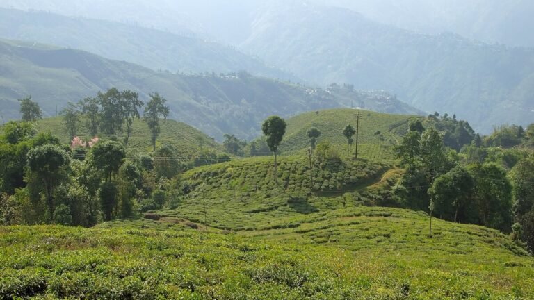 सुबह की 5 आदतें जो 30 दिन में आपकी जिंदगी बदल देंगी